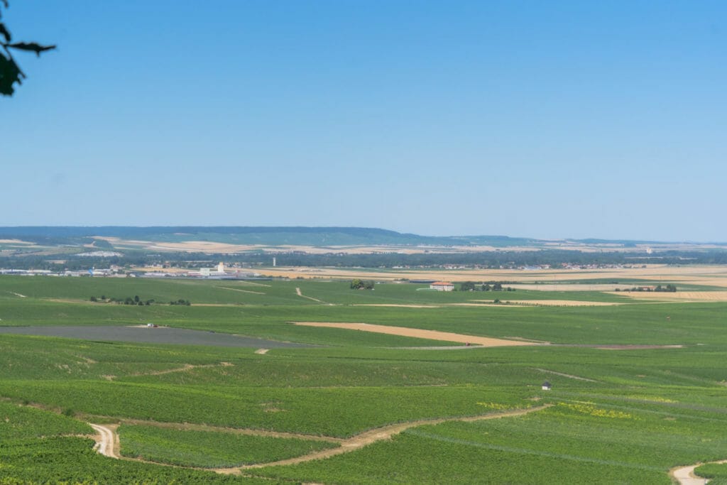 Parc Vix - Avize - Champagne region