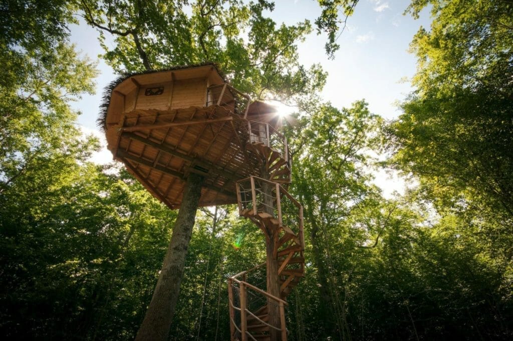 Cabane du bois d'orient - hébergement incroyable dans les arbres en champagne