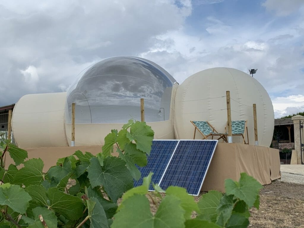 Route des bulles en champagne - in the vineyard