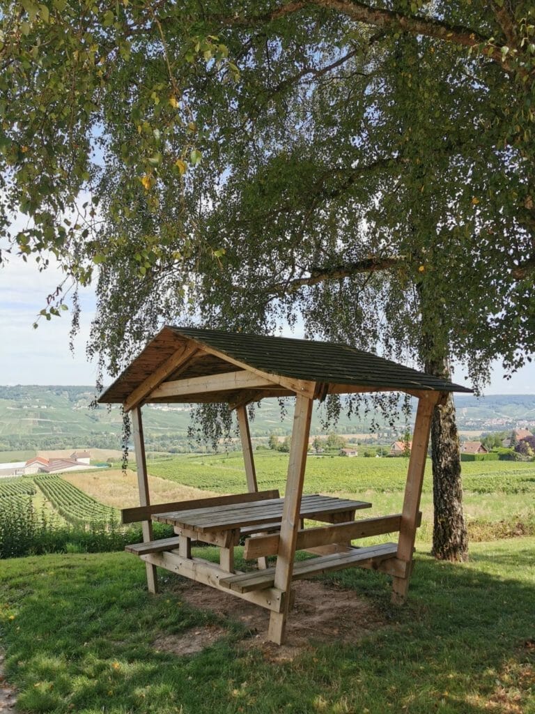 Most beautiful Viewpoints around Epernay in Champagne region