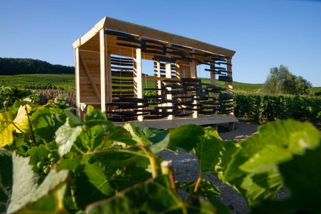 Most beautiful Viewpoints around Epernay in Champagne region
In Cramant