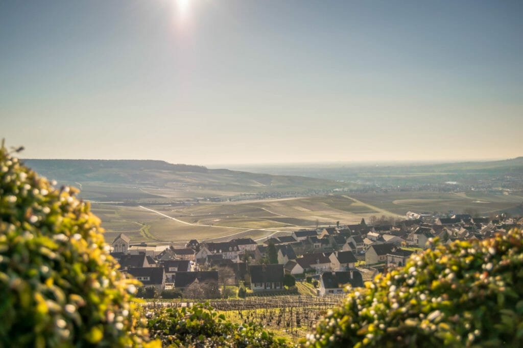 Beautiful Viewpoint in Hautvillers close Epernay