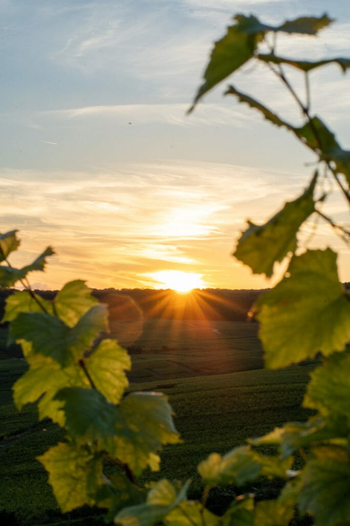 Beautiful Viewpoint in Hautvillers close Epernay