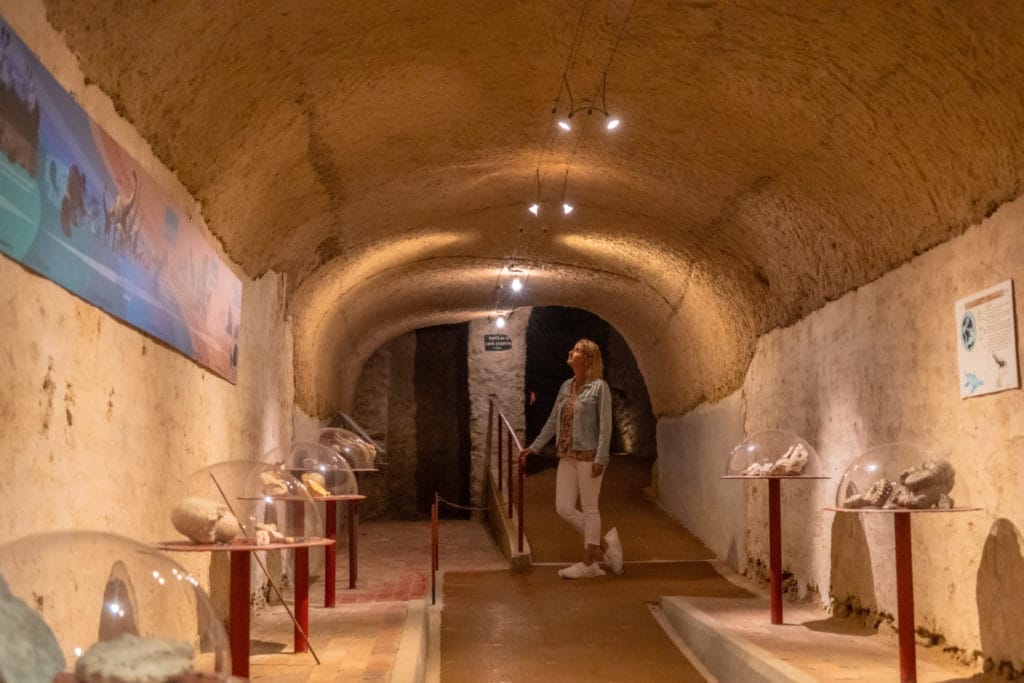La cave aux coquillages in Champagne region - a very good activity for family