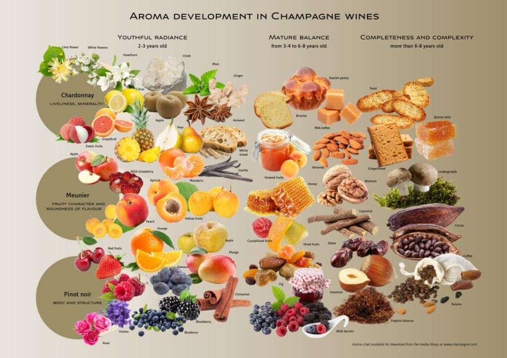 Champagne aroma chart